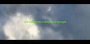 猫咪频繁呕吐的5大原因及科学应对指南