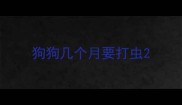 狗狗几个月要打虫