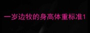 一岁边牧的身高体重标准