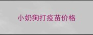 小奶狗打疫苗价格