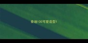 泰迪100可爱造型