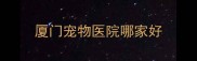 厦门宠物医院哪家好