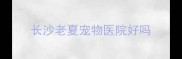 长沙老夏宠物医院好吗