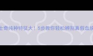 哈士奇纯种特征大5步教你轻松辨别真假血统