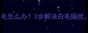灰泰迪脚底有白毛怎么办3步解决白毛困扰附护理全攻略