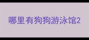哪里有狗狗游泳馆