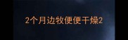 2个月边牧便便干燥