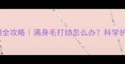 金毛犬换毛期全攻略满身毛打结怎么办科学护理指南来了