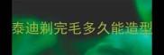 泰迪剃完毛多久能造型