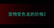 宠物变色龙的价格