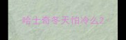 哈士奇冬天怕冷么