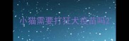 小猫需要打狂犬疫苗吗