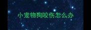小宠物狗咬伤怎么办