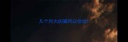 几个月大的猫可以空运