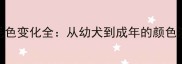 金毛犬成长过程中毛色变化全从幼犬到成年的颜色演变与科学养护指南
