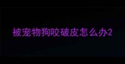 被宠物狗咬破皮怎么办