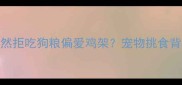 哈士奇为何突然拒吃狗粮偏爱鸡架宠物挑食背后的5大真相