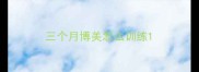三个月博美怎么训练