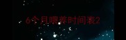 6个月喂养时间表