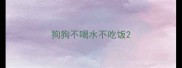 狗狗不喝水不吃饭