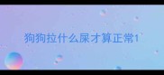 狗狗拉什么屎才算正常