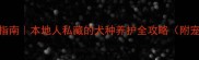 新乡拉布拉多养宠指南本地人私藏的犬种养护全攻略附宠物医院遛狗地图