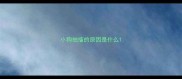 小狗抽搐的原因是什么
