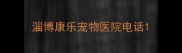 淄博康乐宠物医院电话