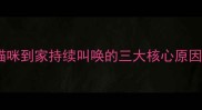 猫咪到家持续叫唤的三大核心原因
