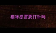猫咪感冒要打针吗