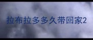 拉布拉多多久带回家