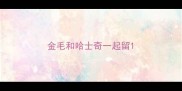 金毛和哈士奇一起留