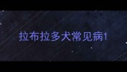 拉布拉多犬常见病