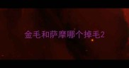 金毛和萨摩哪个掉毛