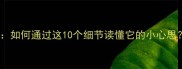猫咪十大行为密码如何通过这10个细节读懂它的小心思附情绪解读指南