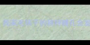 边牧蓝眼睛之谜我家毛孩子的独特瞳孔会发光的秘密全公开