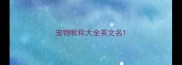 宠物昵称大全英文名