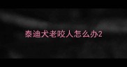 泰迪犬老咬人怎么办