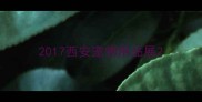2017西安宠物用品展