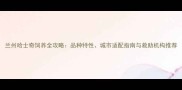 兰州哈士奇饲养全攻略品种特性城市适配指南与救助机构推荐