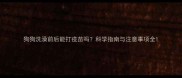 狗狗洗澡前后能打疫苗吗科学指南与注意事项全