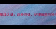 哈士奇眼线之谜品种特征护理指南与科学解释
