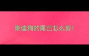 泰迪狗的尾巴怎么剪