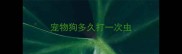 宠物狗多久打一次虫