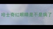 哈士奇红眼睛是不是病了