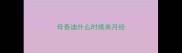 母泰迪什么时候来月经
