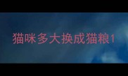 猫咪多大换成猫粮