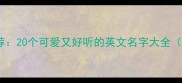 猫咪英文名推荐20个可爱又好听的英文名字大全附起名技巧