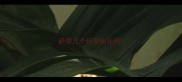 萨摩几个月开始补钙