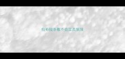 拉布拉多教不会定点尿尿